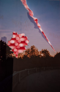 documentation-photographie-decoupee-cratif-experimentation