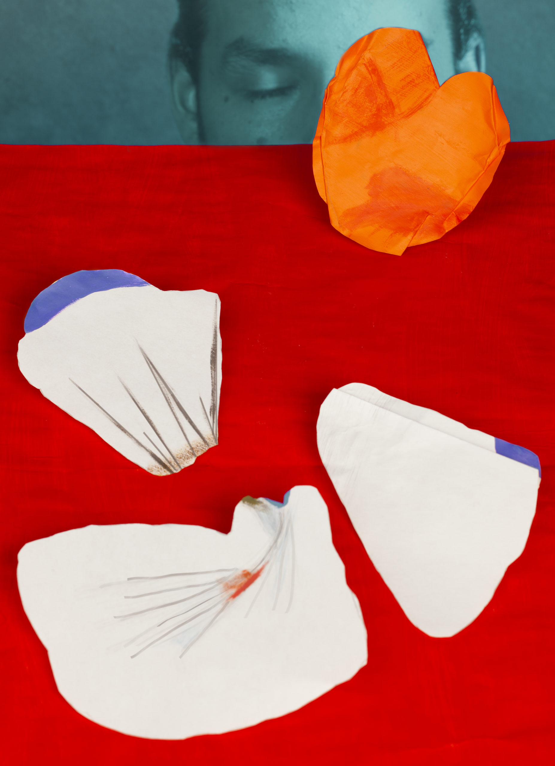 shell and flower-impression